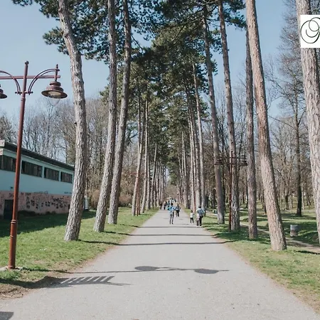 Mozart-apartman Апартаменты *